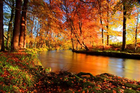 Autumn Serenity: HD Wallpaper of a Forest River in Fall Colors