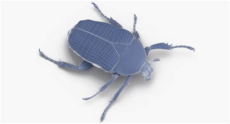 Green Scarab Beetle Walking Model - TurboSquid 1375618