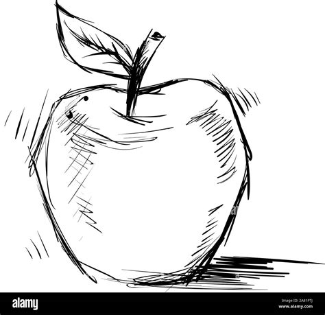 Apple sketch, illustration, vector on white background Stock Vector ...