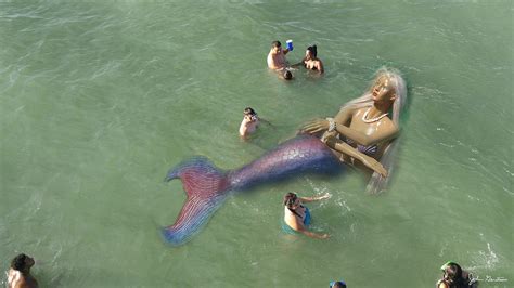 Mermaid Sighting Photograph by John Gerstner