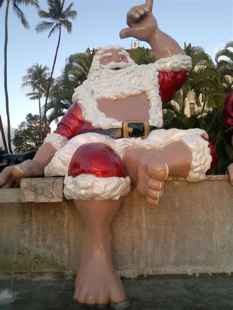 91683bbe0ec27de4fd23693cd6fb9c92.jpg (720×960) | Hawaiian christmas ...