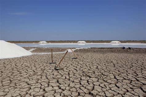 Rann of Kutch, the salt desert in the state of Gujarat, India | Rann of ...