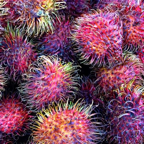 KITCHEN COPY: RAMBUTAN! - Wolff's Apple House