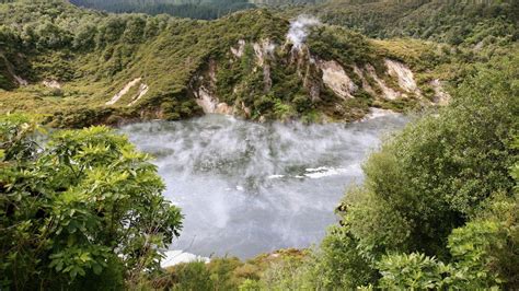 Waimangu Volcanic Valley, Rotorua | New zealand holidays, New zealand ...