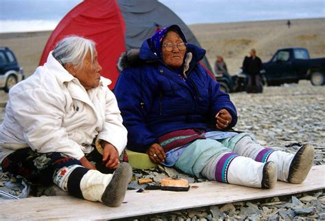 Inuit Country Food in Canada | The Canadian Encyclopedia