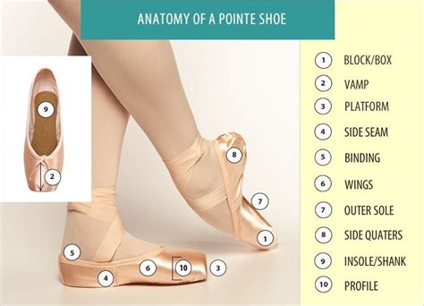 What is in a pointe shoe? | Ballet pointe shoes, Pointe shoes, Shoe vamp