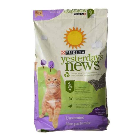 Best Dust Free Cat Litter Brands Reviewed | iPetCompanion