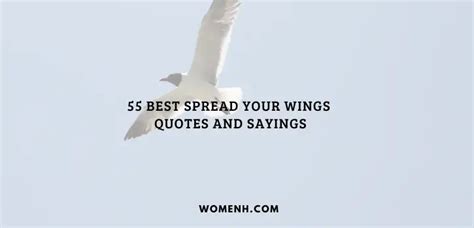 55 Best Spread Your Wings Quotes and Sayings - WomenH.com