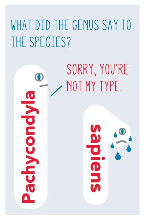 Award-winning taxonomy pun by me, Illustrated by Hoot of BuzzHootRoar ...