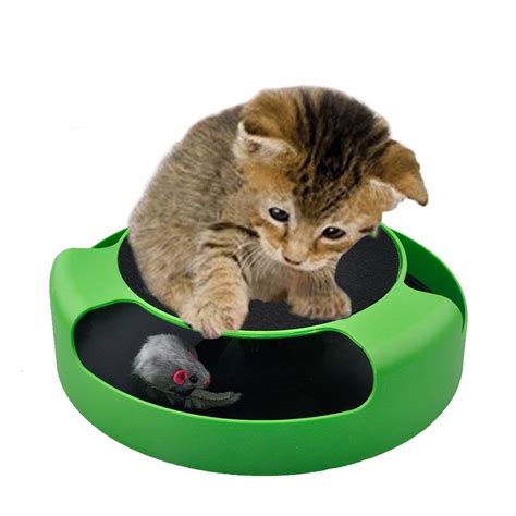 2 in 1 Interactive Cat Toys – Product Testing Group