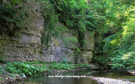 Black Forest Germany - Hiking in the Region