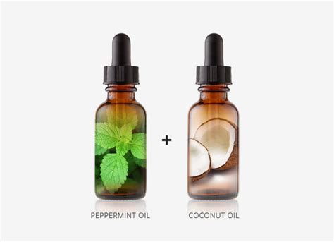 How to Use Peppermint Oil for Hair Growth – Visible Results in JUST 2 ...