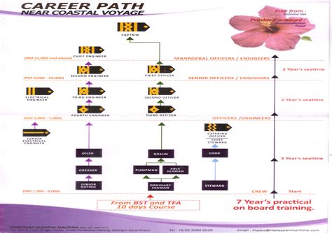 PELUANG KERJAYA DALAM BIDANG MARITIM: LEVEL - LEVEL SERTA PANGKAT ...