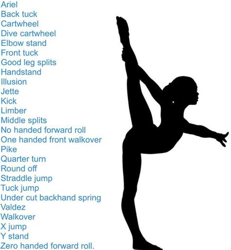 Gymnastics Stretches for Flexibility