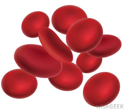 Red Blood Cells Diagram - ClipArt Best