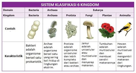 sciencemediaedu: KLASIFIKASI MAKHLUK HIDUP