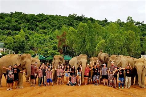 Elephant Sanctuary Pattaya