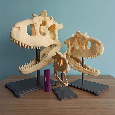 Amazon.com: Carnotaurus skull 3d printed replica with stand : Handmade ...