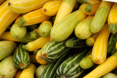 Summer Squash and Zucchini Nutrition Facts