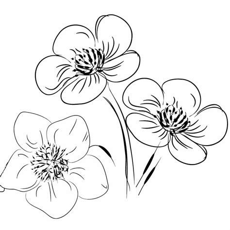 Cute Easy Drawings Of Flowers