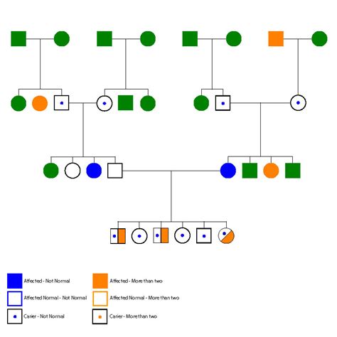 Pedigree Chart A Beginner S Guide Pedigree Chart Org Chart Chart | The ...