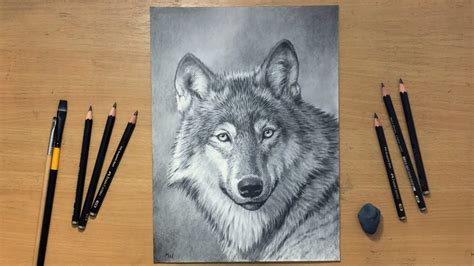 Graphite Pencil Drawing of a Wolf - YouTube