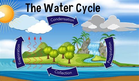 Evaporation, Condensation, and Dew Point