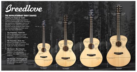 Acoustic Guitar Body Shapes, The Breedlove Way