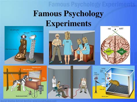 PPT - Famous Psychology Experiments PowerPoint Presentation - ID:457897