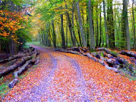 Autumn in France - French Moments