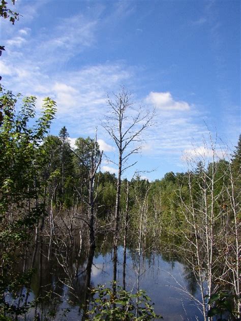 Aroostook County Nature Preserves | Maine: An Encyclopedia