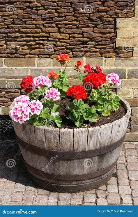 Flower Tub Royalty Free Stock Photo - Image: 32576715