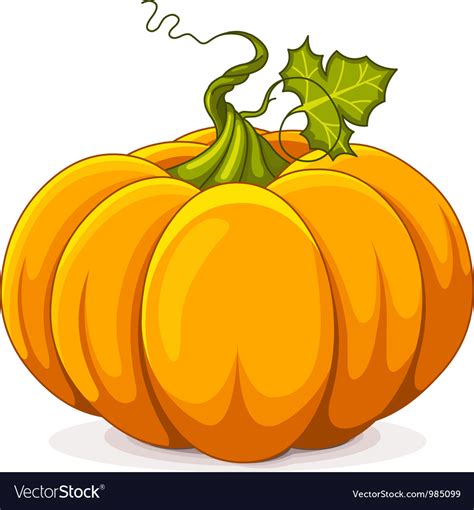 Autumn pumpkin Royalty Free Vector Image - VectorStock