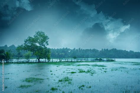 Beautiful landscape image with heavy rain, Monsoon rain in Kerala India ...