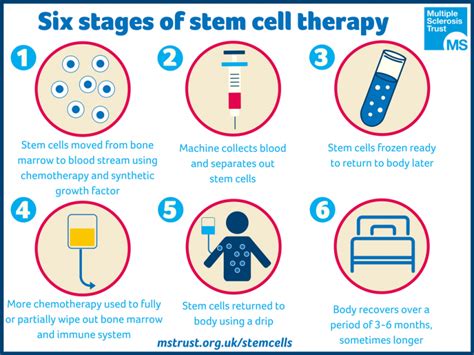 Does Stem Cell Therapy Works? 2020