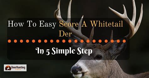 How To Score A Whitetail Deer - Score Whitetail Deer Buck Antlers