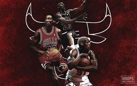 NEW Scottie Pippen, Dennis Rodman and Michael Jordan Chicago Bulls ...