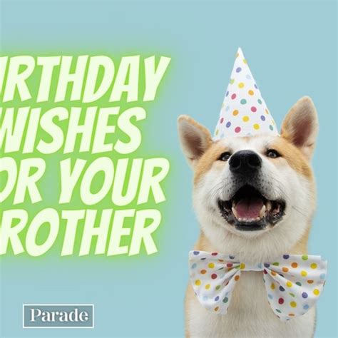 Do Dogs Remember Their Birthdays