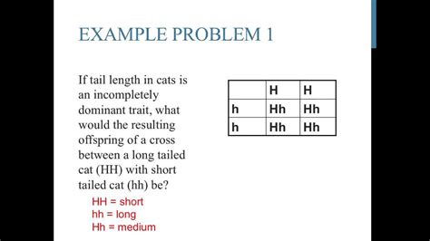 Punnett square practice problems (incomplete dominance) - YouTube