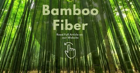 Bamboo Fiber || Properties || Processing || Applications