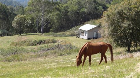 Guest Cabin And Arabian Horse | Southern Cross Horse Treks Australia ...