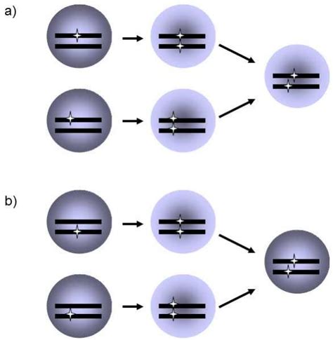 II.3.1 Current understanding of the gene as a cistron is practical for ...