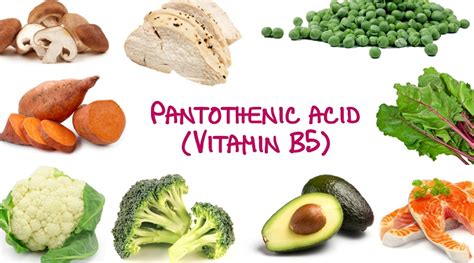 Biotin and Pantothenic Acid, Benefits & Foods Sources, Deficiency, Toxicity