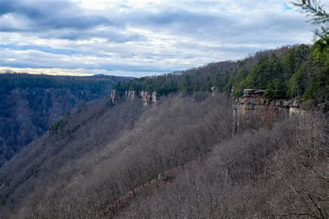 Hiking in New River Gorge National Park [Trail Guide]