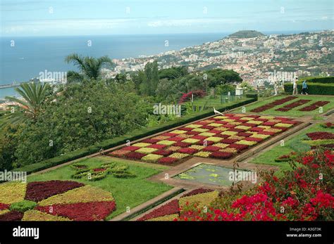 Funchal, Botanical Garden Stock Photo - Alamy