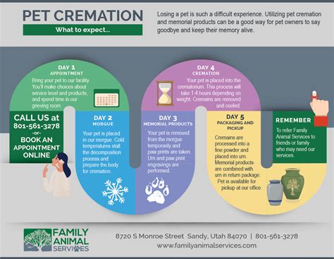 Pet Cremation Process | How Are Pets Cremated Utah