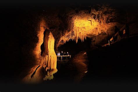 Glowworm Tours - CaveWorld