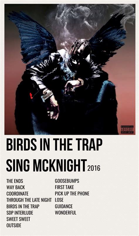 Birds In The Trap Sing Mcknight Poster