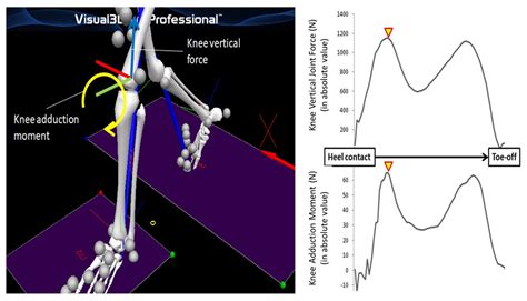 Applied Sciences | Free Full-Text | Ageing-Related Gait Adaptations to ...