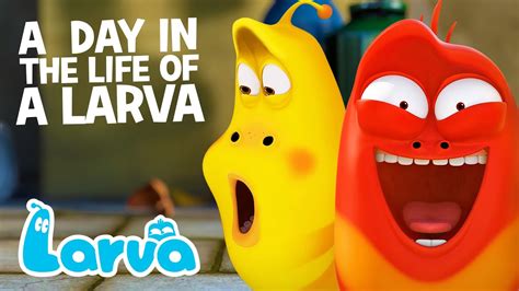 A DAY IN THE LIFE OF A LARVA | LARVA | Cartoons for Kids | WildBrain ...